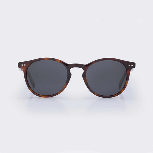 Pipeline - Tortoise Shell