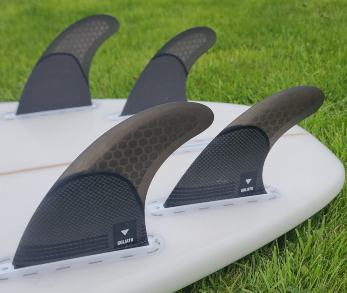 Goliath XL Carbon Quad