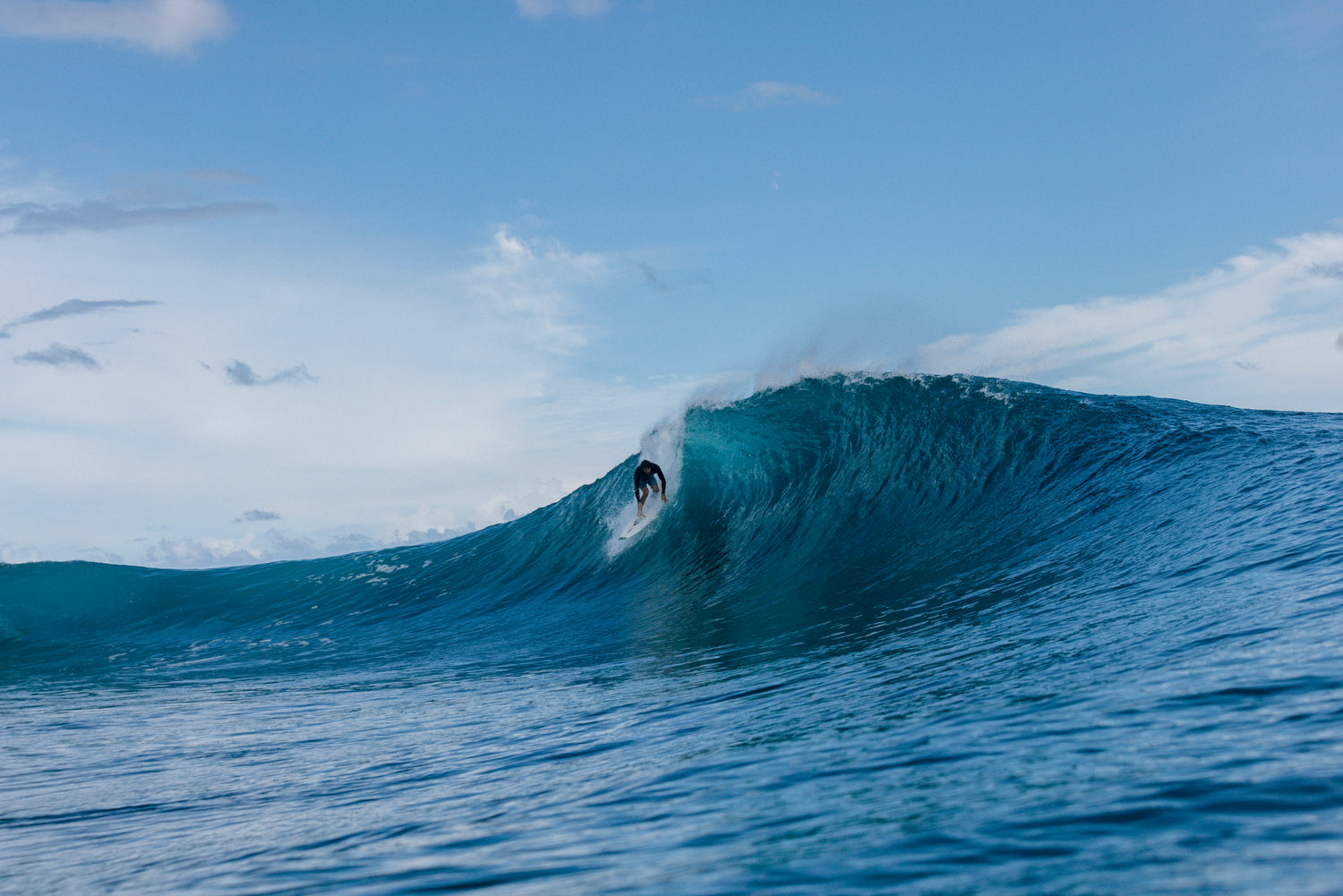 Rash Vests