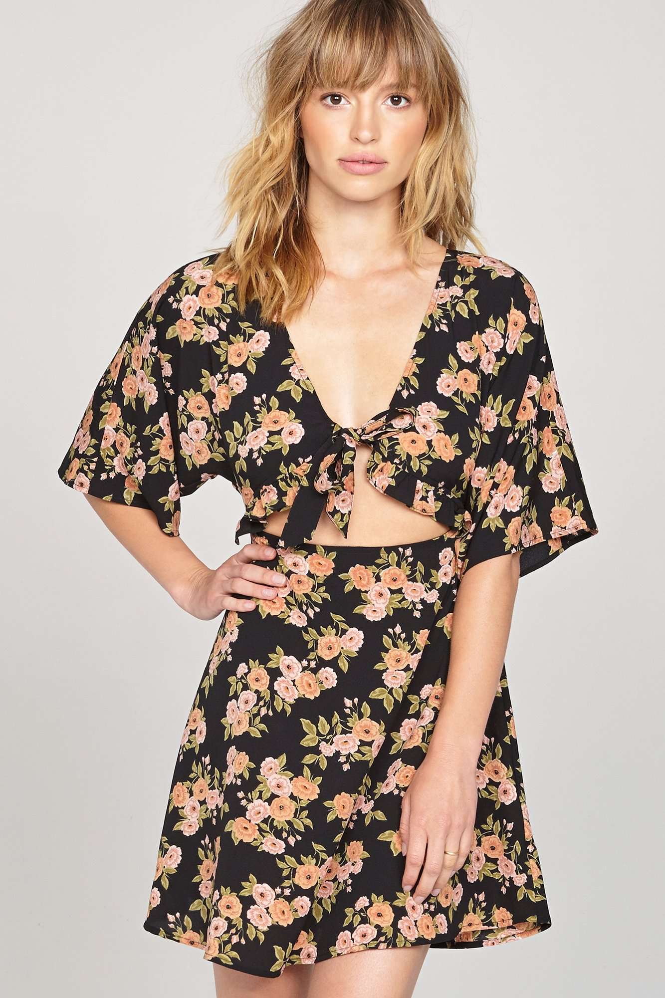 Amuse society Floral Envy dress