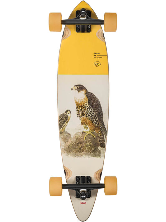 Globe pintail 34" longboard