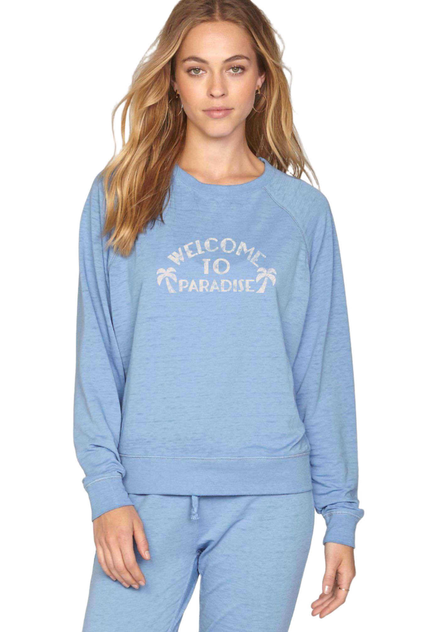 Amuse society Peaceful bay fleece sweater