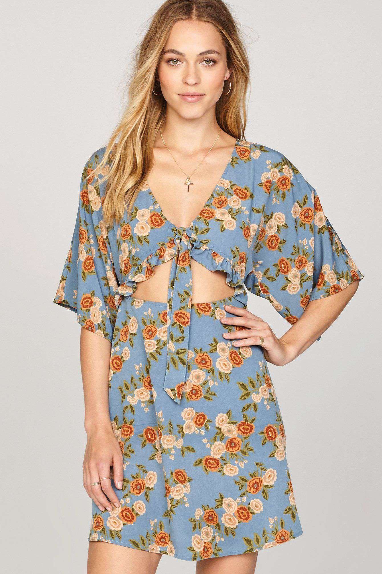 Amuse society Floral Envy dress - blue