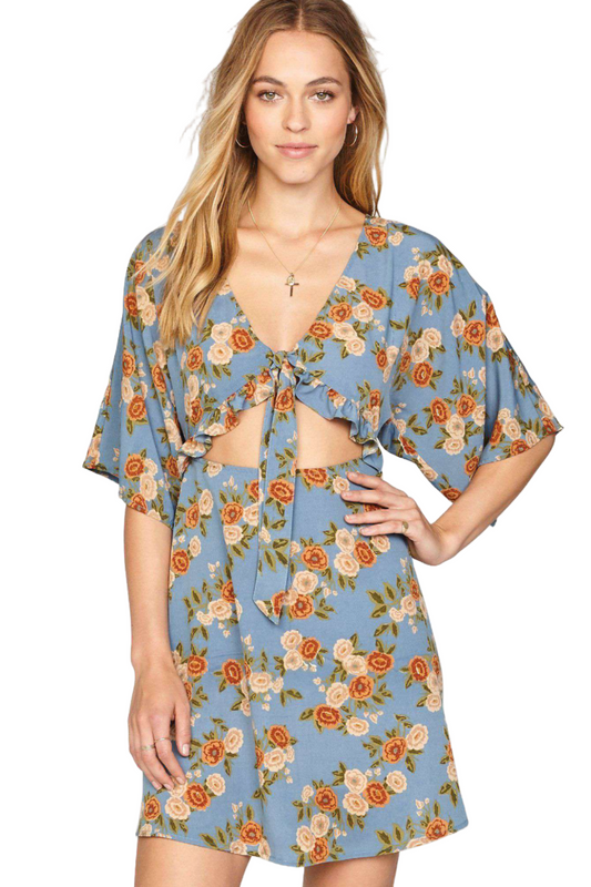 Amuse society Floral Envy dress - blue