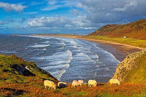 Rhossilli Glass Placemat by Dan Santilo featuring a scenic coastal view with grazing sheep, waves, and cliffs. Durable glass with felt backing.
