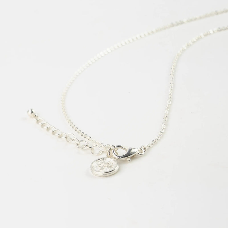 Pineapple Island The Wave Project Circle Necklace - Silver