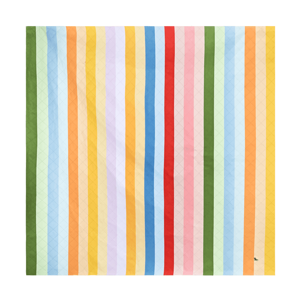 Large Waterproof Picnic Blanket for Outdoor Use