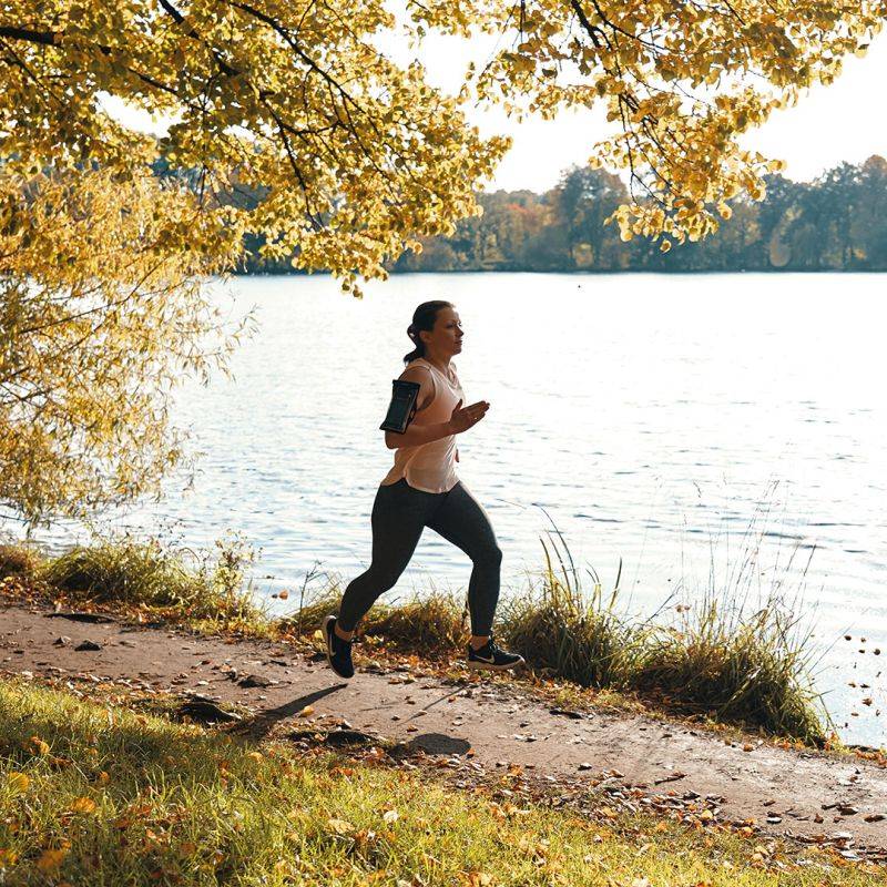 Fidlock Hermetic Armband