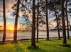 Dan Santillo greeting card featuring a serene sunset view through trees at Mumbles.
