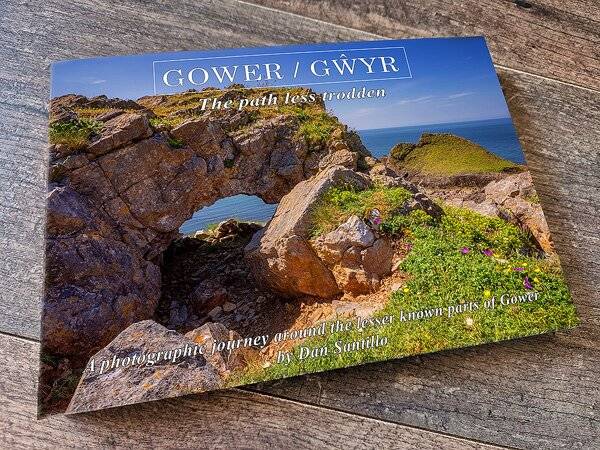 Dan Santillo Gower: The Path Less Trodden