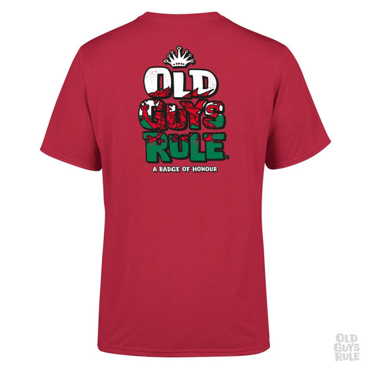 'Stacked Logo Home Nations - Wales' T-Shirt